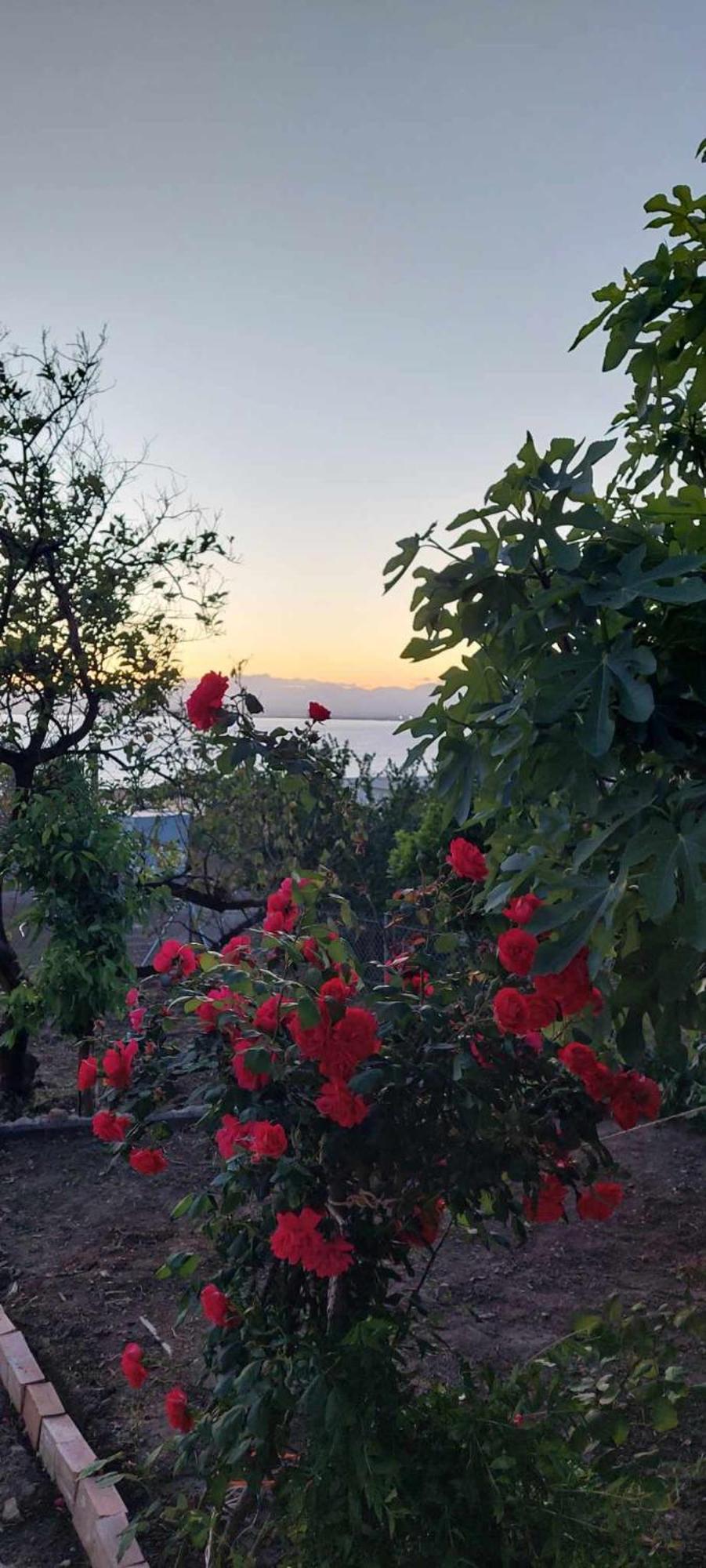 Panorama Studio Kalamata Dış mekan fotoğraf